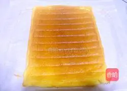 Yoghurt Cake Roll Recipe Illustration 21