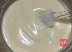 Yoghurt chiffon cake recipe 9