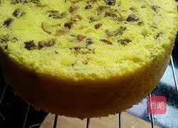 French sponge cake recipe 5