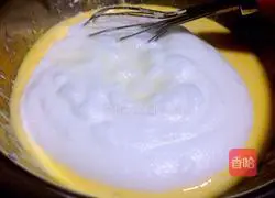 Yoghurt Cake Roll Recipe Illustration 13