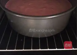 Pitaya chiffon cake recipe 10