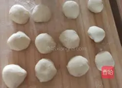 Illustration of how to make fried pot stickers on ground pot chicken 4