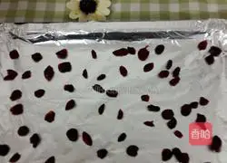 Cranberry Matcha Cake Roll Recipe Illustration 17