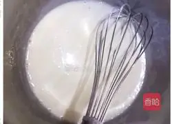 Yoghurt Cheesecake Recipe Illustration 3