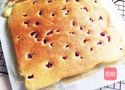 Cranberry Cake Roll Recipe Illustration 12