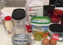 Mango yogurt cheesecake recipe 1