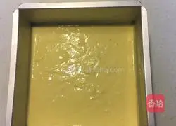 Mango Coconut Cheesecake Recipe Illustration 7