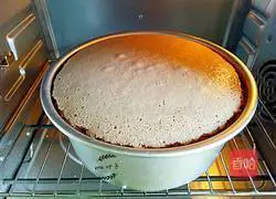 Sweetheart cocoa sponge cake recipe 8