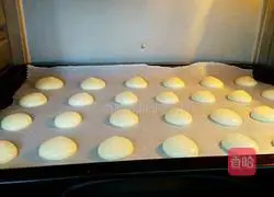 Illustration of how to make butter-free vegetarian biscuits 11