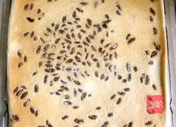 Illustration of how to make raisin cake rolls 19