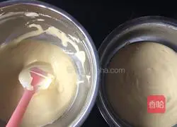 Marbled Chiffon Cake Recipe Illustration 12