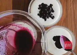 Blueberry jelly cheesecake recipe 6