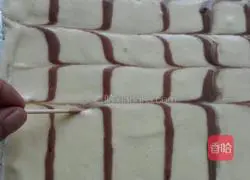Pattern cake roll recipe 10