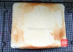 Papaya Cake Roll Recipe Illustration 11