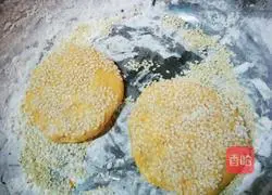 Pumpkin pie recipe 6