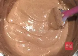 Cocoa Chiffon Cake (Eight-Inch) Recipe Illustration 9