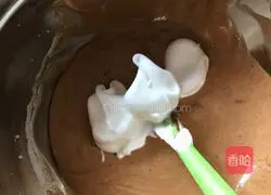 Marbled Chiffon Cake Recipe Illustration 9