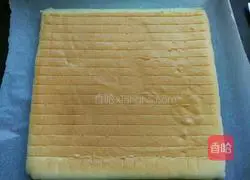 Yoghurt cake roll recipe 17