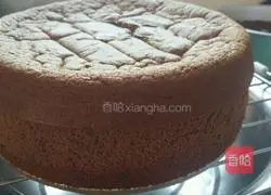 Cocoa Chiffon Cake Recipe Illustration 18