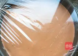 Chocolate Tiramisu Recipe Illustration 11