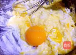 Yoghurt Cake Roll Recipe Illustration 6