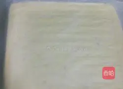 Blueberry Meat Floss Cake Roll Recipe Illustration 18