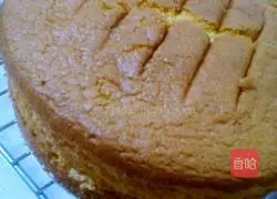 Whole egg sponge cake recipe 8