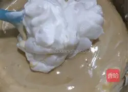 Vasalin Coco Chiffon Cake Recipe Illustration 12