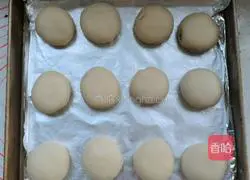 Illustration of how to make fresh meat crispy cake 17