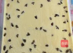 Illustration of how to make raisin cake rolls 13