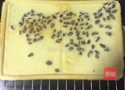 Illustration of how to make raisin cake rolls 15