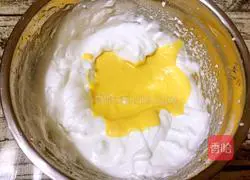 Yoghurt Cake Roll Recipe Illustration 10