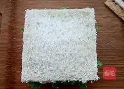 Cheese and ham sandwich recipe 11