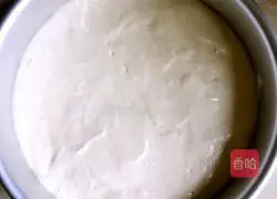 Chiffon Coconut Cake Recipe Illustration 14