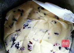 Cranberry Illustration of how to make cookies 6