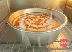 Zebra pattern chiffon cake recipe 16