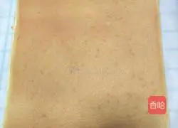 Illustration of how to make meat floss cake rolls 14