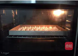 Illustration of how to make protein sugar 12