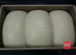 Illustration of how to make yogurt toast (one-time fermentation) 11
