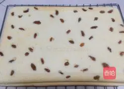 Illustration of how to make raisin jam cake roll 16