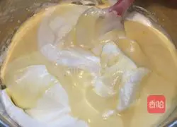 Sanhua evaporated milk chiffon cake recipe 10