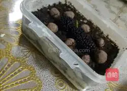 Tiramisu (slimming version) recipe 9