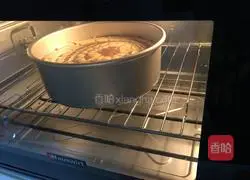 Recipe for Zebra Pattern Chiffon Cake Illustration 17