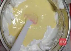 Yoghurt Cheesecake Recipe Illustration 5