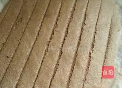 Cocoa Cake Roll Recipe Illustration 16