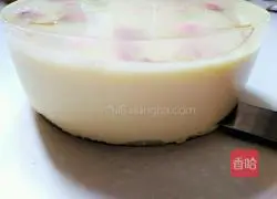 Sakura Cheesecake (Chiffon Base) Recipe Illustration 12