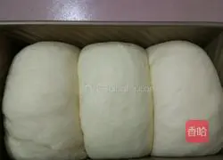 Toast (Corn Oil Version) Illustration 15