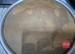 Zebra pattern chiffon cake recipe 18