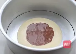 Zebra pattern chiffon cake recipe 8