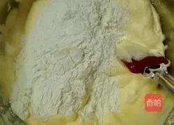 Double Berry Cake Roll Recipe Illustration 9